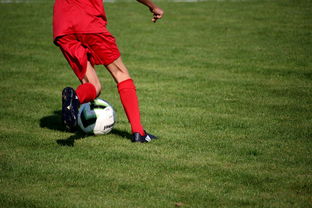 九游官网入口充值-俱乐部青训体系与职业联赛脱节，俱乐部青训有工资吗